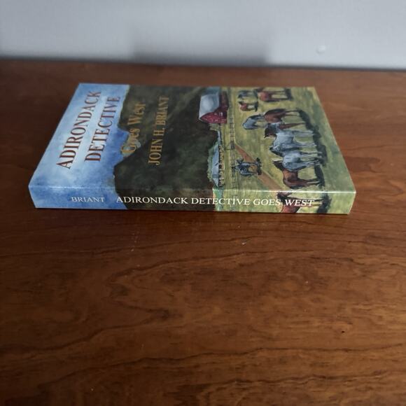 John Briant The Adirondack Detective Series Lot of 3 Trade Paperback One Signed - Picture 13 of 16